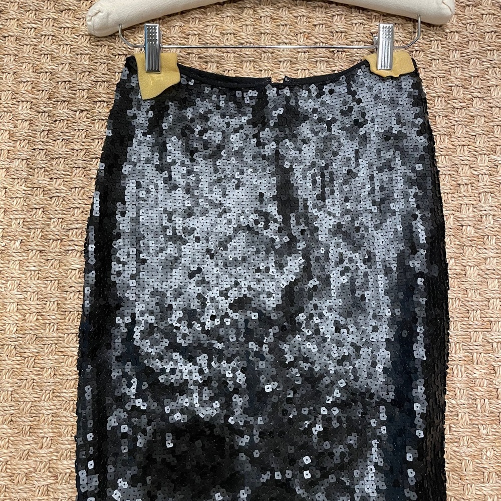 Sequence Top And Skirt. Not Same Brand. - image 3